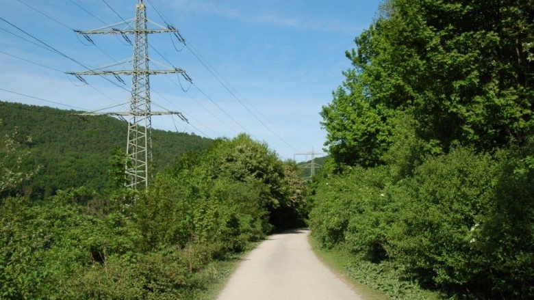 Das Bild zeigt den Fuß- und Radweg entlang des Hengsteysees