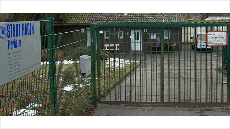 Grüne in Sachen Tierheim isoliert