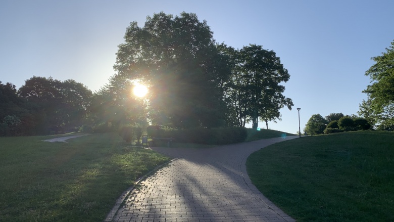 Das Bild zeigt den Hameckepark bei Sonnenaufgang.