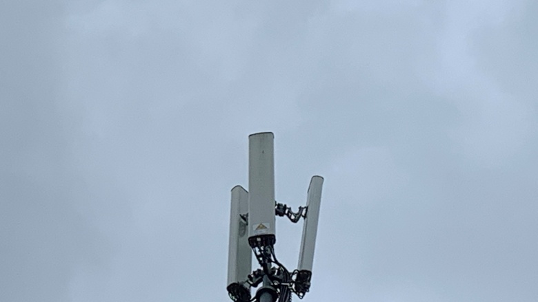 Das Bild zeigt eine- Mobilfunk-Antennenmast.