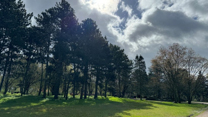 Das Bild zeigt einen Friedhof.